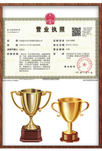 Business License