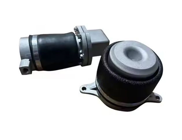 Hino salsissimus vir vivens inpulsa absorber OEM 497103350